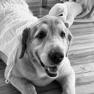 Welcome to Butter's Resale!